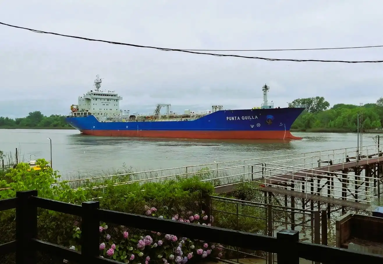Vista panorámica para avistaje de cruceros